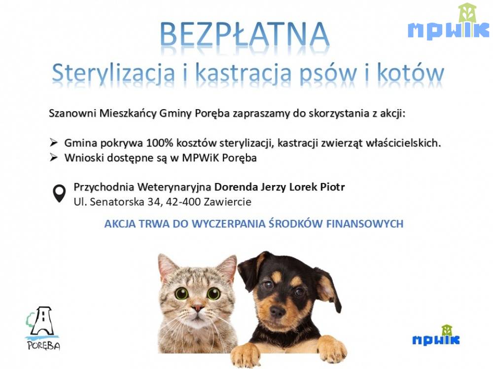 Zdjęcie: 