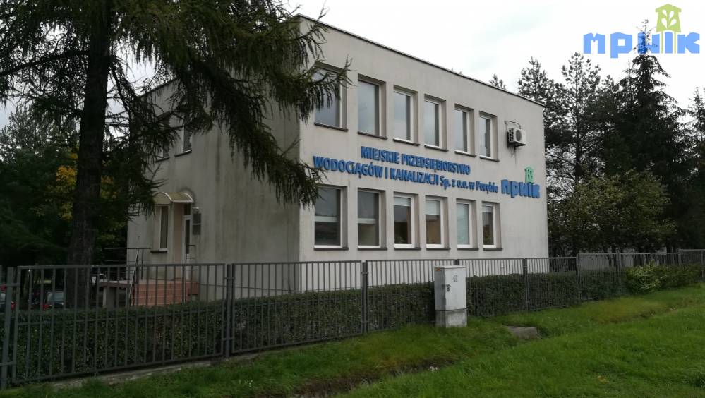 Zdjęcie: 