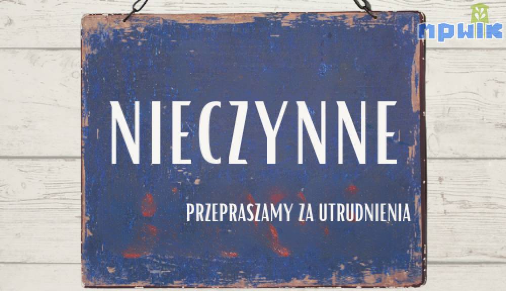 Zdjęcie: 