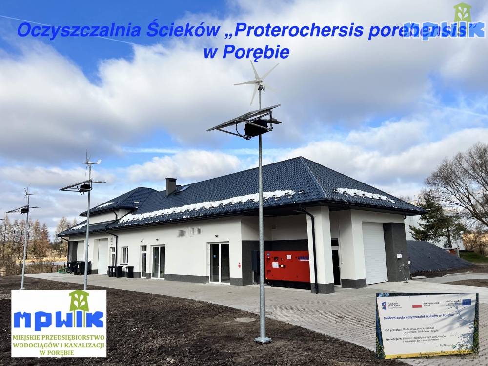 Zdjęcie: 