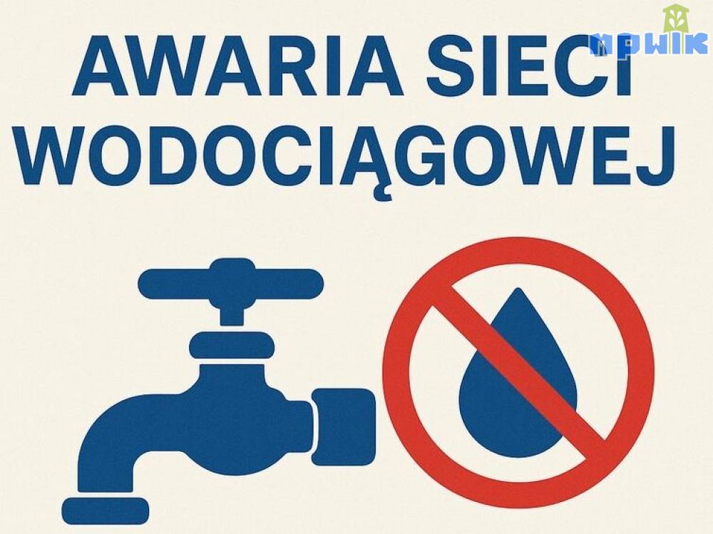 Zdjęcie: 