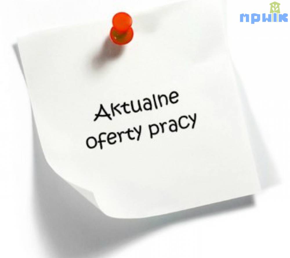 Zdjęcie: 