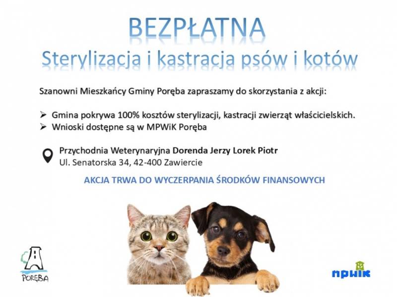 Zdjęcie: AKCJA STERYLIZACJA 2025