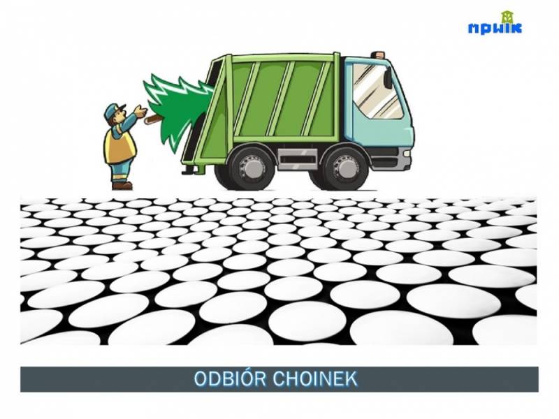 Zdjęcie: ZBI&Oacute;RKA CHOINEK